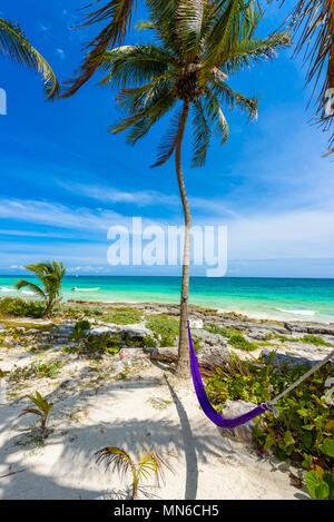 Amaca sotto le palme sulla spiaggia paradiso al resort tropicale. Riviera Maya - Caraibi costa a Tulum in Quintana Roo, Messico Foto Stock