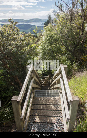 Stretta scalinata in discesa su una collina con vista panoramica sulla penisola di Otago e lussureggiante vegetazione a Dunedin, Nuova Zelanda Foto Stock