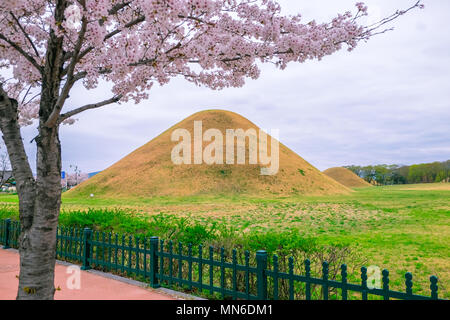Tomba con fiori di ciliegio durign stagione Primavera a Gyeongju città della Corea del Sud. Foto Stock