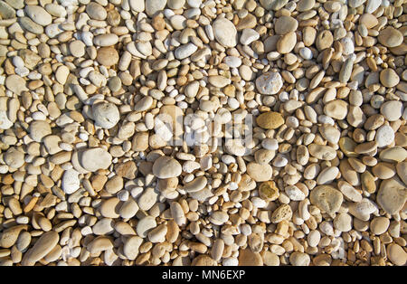 Bianco, grigio e marrone a ciottoli con una superficie liscia e arrotondata su una spiaggia di ciottoli Foto Stock