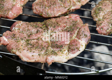 Barbecue con deliziose grigliate di carne alla griglia Foto Stock