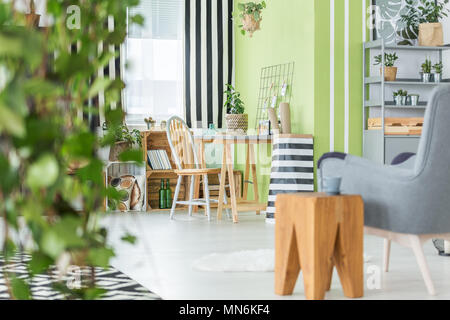 Accogliente appartamento verde con poltrona e area di lavoro funzionale Foto Stock