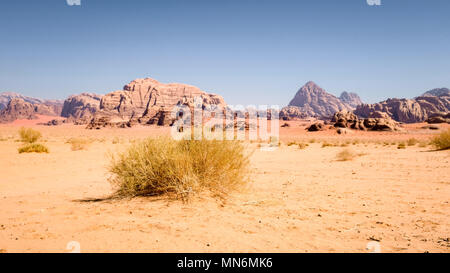 Il Wadi Rum è una spettacolare valle del deserto tagliato in arenaria e pietra di granito e ha portato la sua designazione come patrimonio mondiale UNESCO Questo meridionale area giordano è un telecomando e in gran parte inospitale landmark per liquidare la vita. Il solo abitanti permanenti sono diverse migliaia di beduini nomadi e gli abitanti del villaggio. Foto Stock