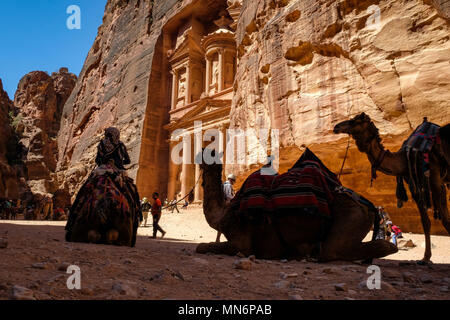 Avviso di cammello di fronte al tesoro (Al-Khazneh) in Petra Sito Patrimonio Mondiale dell'UNESCO per il trasporto di turisti Foto Stock