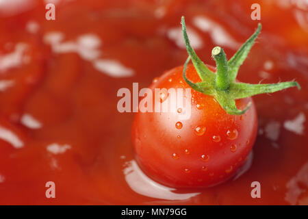 Pomodoro Fresco in salsa di pomodoro, close-up Foto Stock