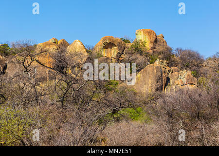 Roccia di granito in formazioni di Matobo National Park, Zimbabwe. Settembre 23, 2016. Foto Stock