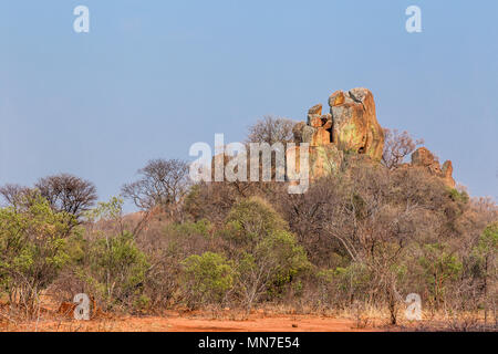 Rocce di bilanciamento in Matobo National Park, Zimbabwe, formato da milioni di anni di esposizione agli agenti atmosferici. Foto Stock