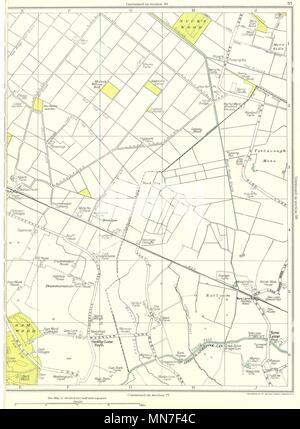 LANCASHIRE.Damwood,New Lane,Tarlscough Mose,Nuck il legno 1935 old vintage map Foto Stock