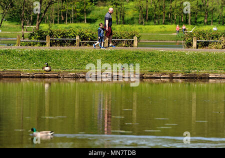 Bolton, Lancashire, Regno Unito. 15 Maggio, 2018. Bella calda luce del sole batte su Bolton come ultimo incantesimo di bel tempo colpisce il nord-ovest dell'Inghilterra. Le temperature sono impostati a cadere domani ma salire di nuovo davanti al Royal Wedding weekend. Un uomo e suo figlio a fare una passeggiata intorno al lodge a Mosè Gate Country Park. Foto di Paolo Heyes, Martedì 15 Maggio, 2018. Credito: Paolo Heyes/Alamy Live News Foto Stock