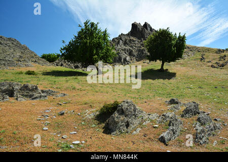 Maria' s pietre, bellissima zona rocciosa in Macin montagne di Dobrogea, Romania Foto Stock
