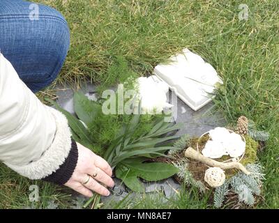 Le mani di una donna memorizza i fiori sulla tomba Foto Stock