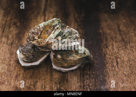 Materie oyster sul tavolo di legno con una vista ravvicinata Foto Stock