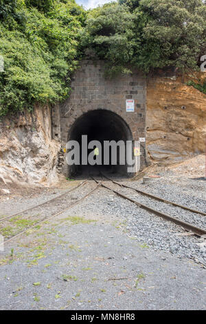 Visualizzare attraverso la vecchia galleria ferroviaria nella roccia con una flora rigogliosa in Port Chalmers, Dunedin, Nuova Zelanda Foto Stock