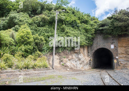 Vecchia galleria ferroviaria attraverso il colle roccioso con vegetazione lussureggiante nel Port Chalmers, Dunedin, Nuova Zelanda Foto Stock
