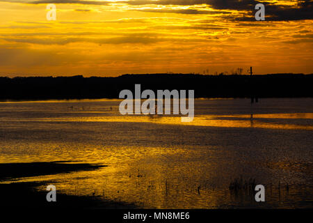 Bel tramonto sul fiume. Inondazioni, l'acqua alta in Desna. Foto Stock