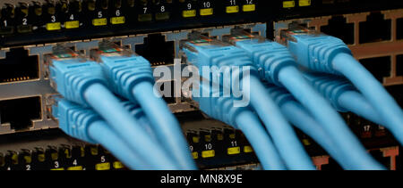 Un commutatore di rete blu con i cavi di collegamento in un centro dati. Foto Stock