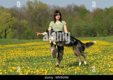 Donna e Tiger a dogdance Foto Stock