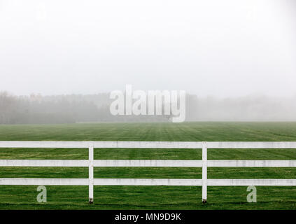 Nebbia su una fresca rasata campo verde con un recinto di bianco in primo piano Foto Stock