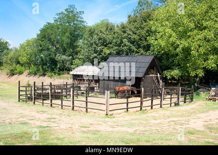 Cavallo stabile sul villaggio farm , Velika Plana, Serbia Foto Stock