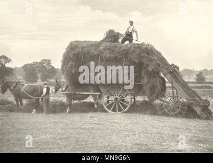 Agricoltura.Macchine ed apparecchi da fienagione - II;fieno il funzionamento del caricatore;fine(9 minuti) 1912 Foto Stock