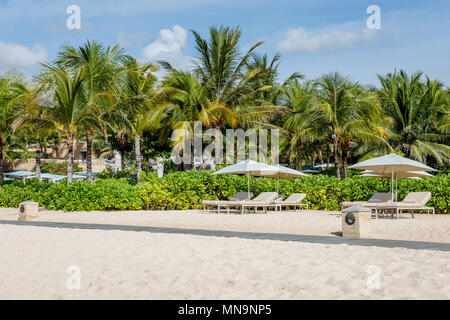 Ombrelloni e palme sulla spiaggia Geger in Nusa Dua, Bali, Indonesia Foto Stock