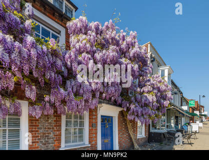 Il Glicine in fiore intorno a un portale con una porta blu nella strada principale di nuovo Alresford, una piccola città o villaggio in Hampshire, Inghilterra meridionale, Regno Unito Foto Stock