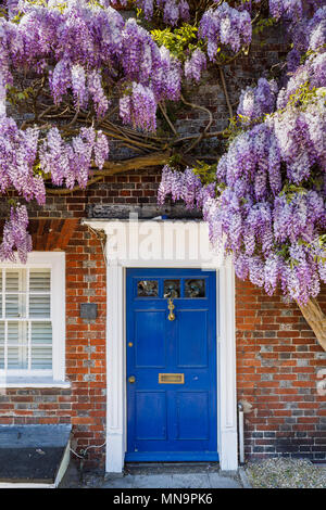 Il Glicine in fiore intorno a un cottage porta con una porta blu nella nuova Alresford, una piccola e pittoresca città o villaggio in Hampshire, Inghilterra meridionale, Regno Unito Foto Stock