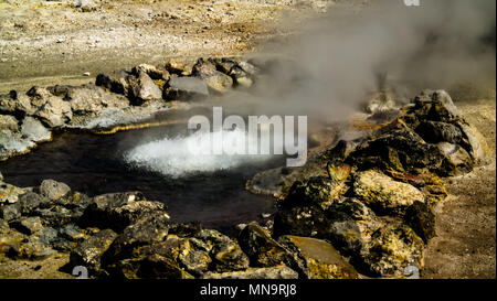 Campi geotermici vicino Lago di Furnas a Sao Miguel, Azzorre, Portogallo Foto Stock