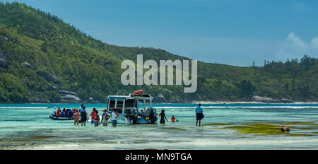 Preparare il quotidiano scuba diving viaggio Seychelles Foto Stock