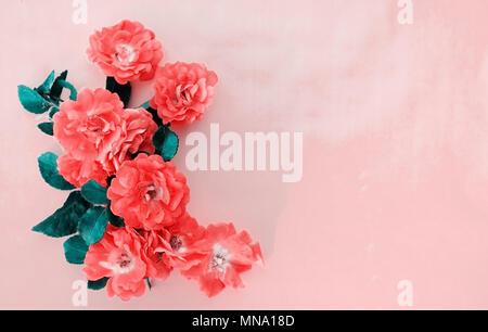 Rosa grazioso e coral rose con verde in foglie di grafica. Spazio per testo o copiare. Foto Stock