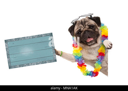 Frolic estate pug cane con fiore hawaiano garland e occhiali da sole, tenendo su blue vintage tavola di legno, isolato su sfondo bianco Foto Stock