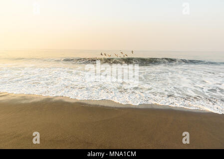 Tramonto presso la spiaggia di sabbia nera di Monterrico, Guatemala. Monterrico è situato sulla costa del Pacifico nel dipartimento di Santa Rosa. Noto per la sua v Foto Stock