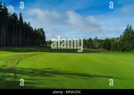Green e fairway a Green Gables Campo da Golf, Cavendish, Prince Edward Island, Canada. Foto Stock