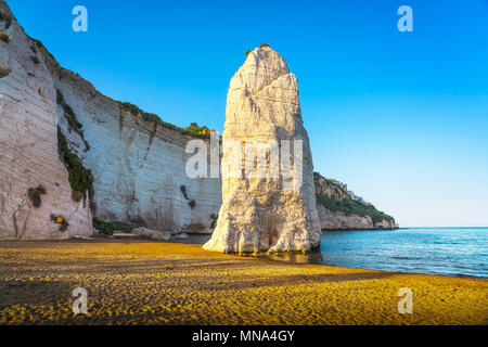 Vieste Pizzomunno e la spiaggia di roccia litorale, Gargano in Puglia, Italia meridionale, Europa. Foto Stock