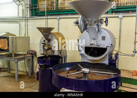 I chicchi di caffè durante il processo di tostatura. Tipo di tamburo tostatore. Processo di Rosting di caffè. Foto Stock