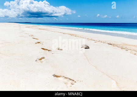 Stampe del piede sulla sabbia bianca di piccole disabitata Doo isola vicino Rote Ndao, Nusa Tenggara Est provincia, Indonesia Foto Stock