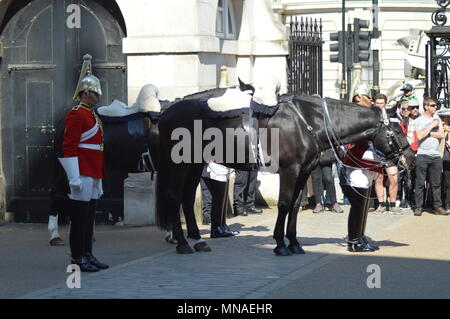 4 pm smontaggio cerimonia presso la sfilata delle Guardie a Cavallo è ogni giorno 365 giorni l'anno. La Queens bagnini sono stati presso la sfilata delle Guardie a Cavallo dal ripristino re Carlo II nel 1660. La Queens vita delle guardie è uno dei due Senior famiglia reggimento di cavalleria. Quando la regina è in residenza a Buckingham Palace, la protezione è costituita da un ufficiale, un caporale maggiore, due Non sottufficiali, uno Trumpeter e dieci troopers. Questa è conosciuta come la lunga Guard Foto Stock