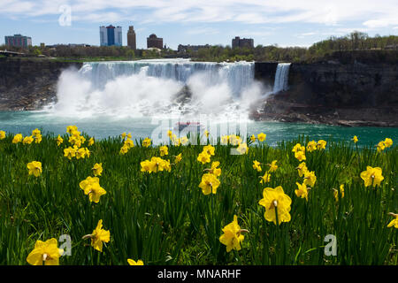 Le Cascate Americane come si vede il 11 maggio 2018 in Niagara Falls, Ontario, Canada. Foto Stock