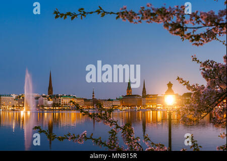 Lanterna di masterizzazione tra rami di fiori di ciliegio fiori sulla calma e bellissimo fiume Alster e dal municipio di Amburgo - Rathaus a molla sul crepuscolo serale subito dopo ora d'oro. Foto Stock