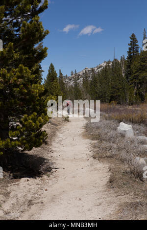 Escursionista zaino porta lungo un sentiero di montagna nella piccola valle dei laghi, Eastern Sierra Nevada,California USA Foto Stock