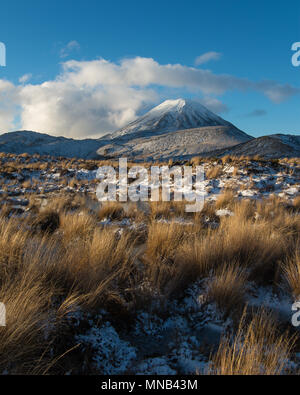 Mt Ngauruhoe dal Tama escursione dei laghi Foto Stock