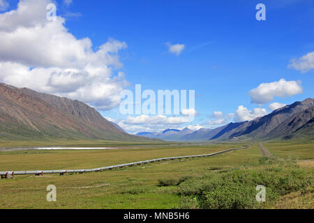 Vista di Dalton autostrada con olio pipeline, che conduce da Valdez, Fairbanks di Prudhoe Bay, Alaska, STATI UNITI D'AMERICA Foto Stock