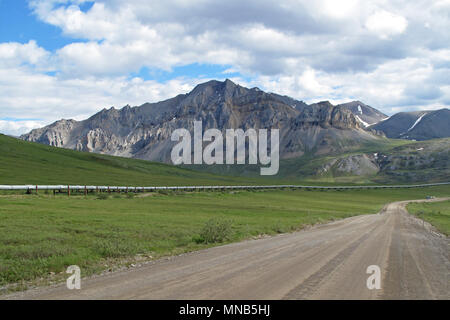 Vista di Dalton autostrada con olio pipeline, che conduce da Valdez, Fairbanks di Prudhoe Bay, Alaska, STATI UNITI D'AMERICA Foto Stock