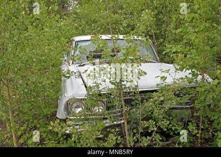 Auto rottamata in american forest, Alaska Foto Stock