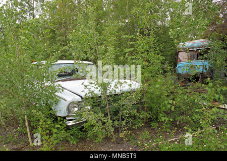 Auto rottamata in american forest, Alaska Foto Stock