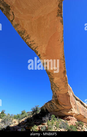 Owachomo bridge o arco in ponti naturali monumento nazionale, STATI UNITI D'AMERICA Foto Stock