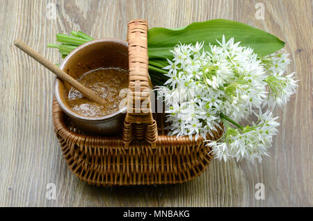 Aglio selvatico senape in un cesto con foglie di carne e le teste dei fiori di ramson. Foto Stock