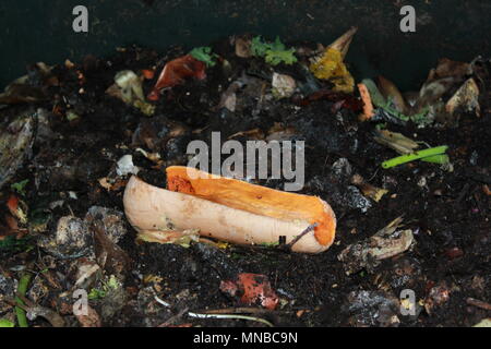 Il compost vegetariano trovati in media in un compost bin. Foto Stock