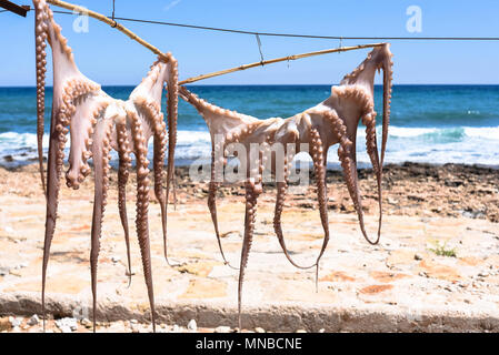 Alcuni polipi sono essiccati al sole sulla costa di Denia (Alicante) foto:Eduardo Manzana Foto Stock