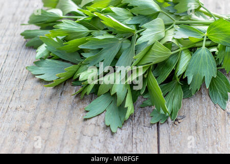 Erba fresca di lovage su un asse di legno Foto Stock